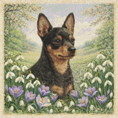 Französischer Pin Welpe Hund im Frühling. Kreuzstich gezählt