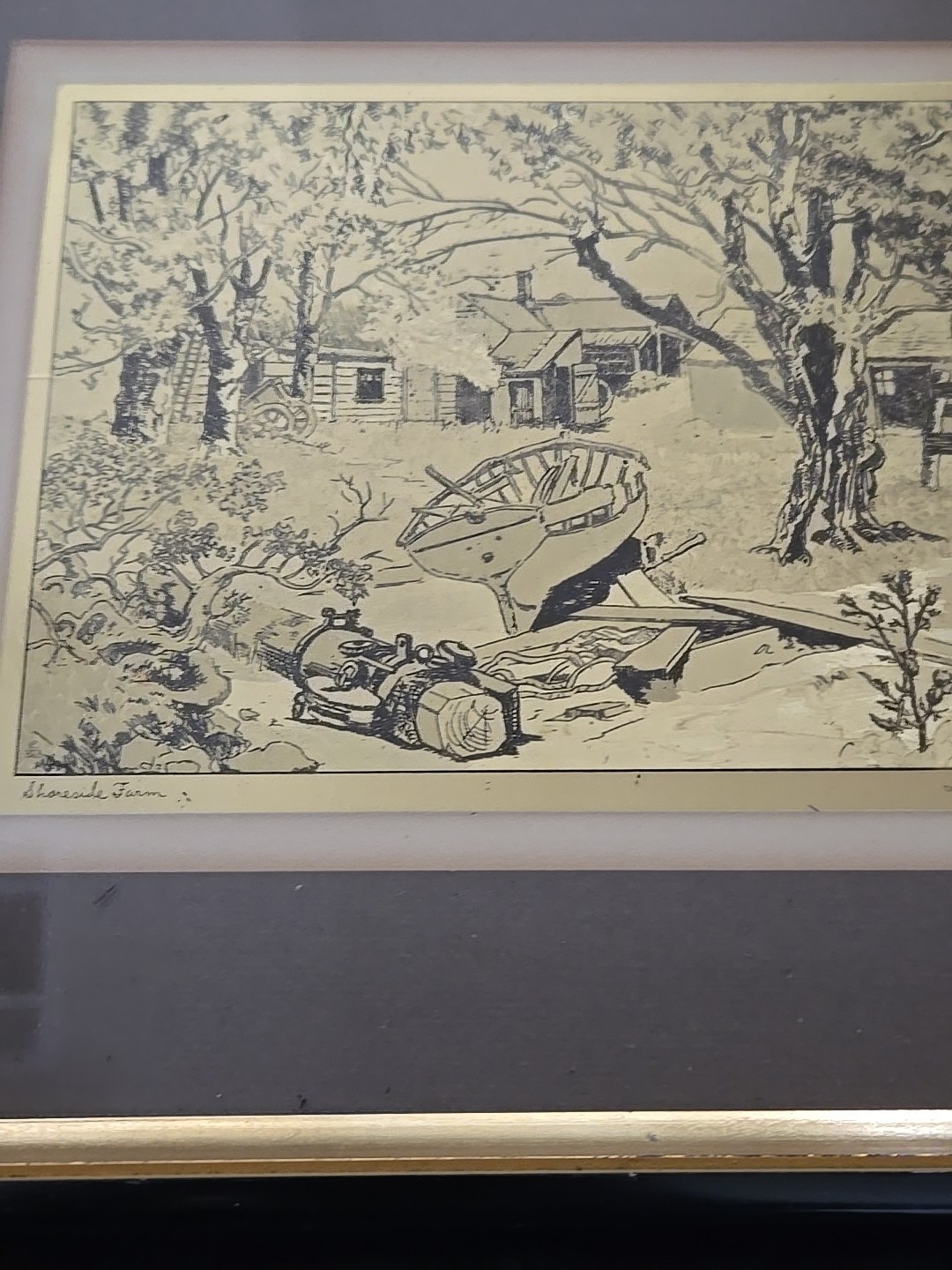 Picture 5 of 19