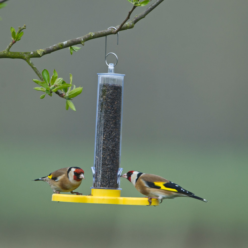 Jacobi Jayne Wild Bird Feeder Filled FREE Niger Seed 2 Port Holder