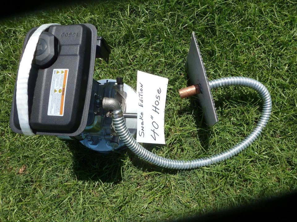 Control de roedores Foto 3 de 4