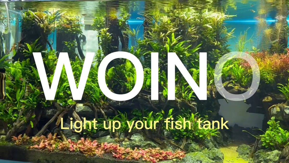 Aquarium LED Aquarium Light Kleurrijke onderwaterverlichting hittebestendige afstandsbediening waterdicht onderwater kristal lichtstrip voor zout water en zoet water (MF-15U EU plug