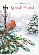 Doodlecards Special Friend Christmas Card Robin in Winter Scene