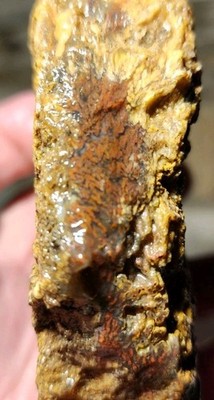 Old Stock Powell Butte Plume Agate Lapidary Cutting Rough Vein Chunk (362 grams)