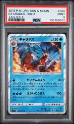 Gyarados 028/095 Tag Bolt Holo Rare Japanese Pokemon Card