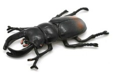 Stag Beetle, Very Nice Rubber Reproduction   2 1/2"   CWG06 B13