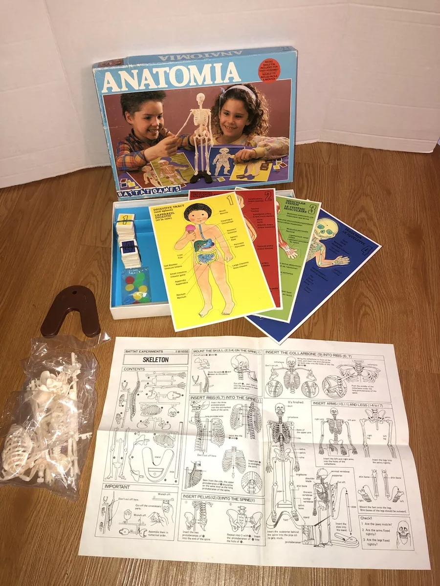 Vintage 1986 Anatomia Board Game Battat Games RARE Skeleton Model - COMPLETE