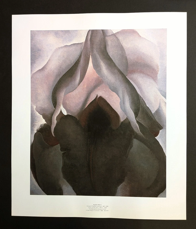 Georgia O' Keeffe IRIS NEGRO Portafolio Impresión Floral Abstracción Arte Botánico Foto 3 de 4