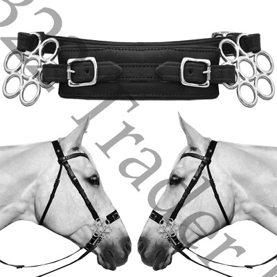 Il Mondo Oltre L'ostacolo: Lesioni Causate Dal Morso Nella Bocca Del - Foto 9