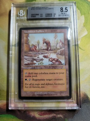 Foil  ヤヴィマヤのうろ穴/Yavimaya hollow Foil】《ヤヴィマヤのうろ穴/Yavimaya Hollow》[UDS] 土地R | 日本最大