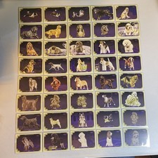 2024 Topps Allen & Ginter - Stars of the Show #SOS - Pick the ones your want