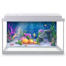 Fish Tank Background Ocean Fish Crab Shells Starfish Corals