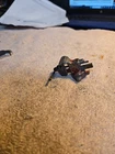 Toy Shop Vise Marx?