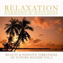 Nature Sounds Vol. 2 von Various | CD | Zustand sehr gut