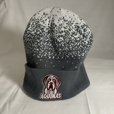 Adidas Aquinas Beanie Winter Hat