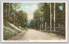 Mohawk Trail Nearing Cold River Scenic Road Massachusetts White Border Postcard