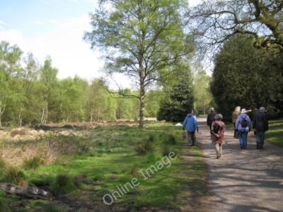 Foto 6x4 Bachtal und Fahrt, Sutton Park Tudor Hill Der Bach und th c2010