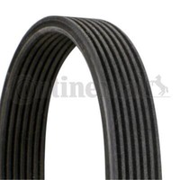 Continental Ctam Keilrippenriemen FüR BMW 5Er 525D 535D 530D Touring