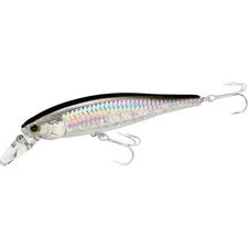LUCKY CRAFT SW Pointer 100S - 765 MS Anchovy (1qty) Top Quality Jerkbait
