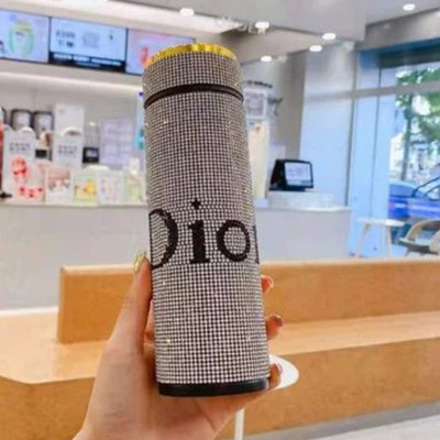 Dior Rhinestone Insulated Metal Bottle Silver Gold Black Twist Lid Adults