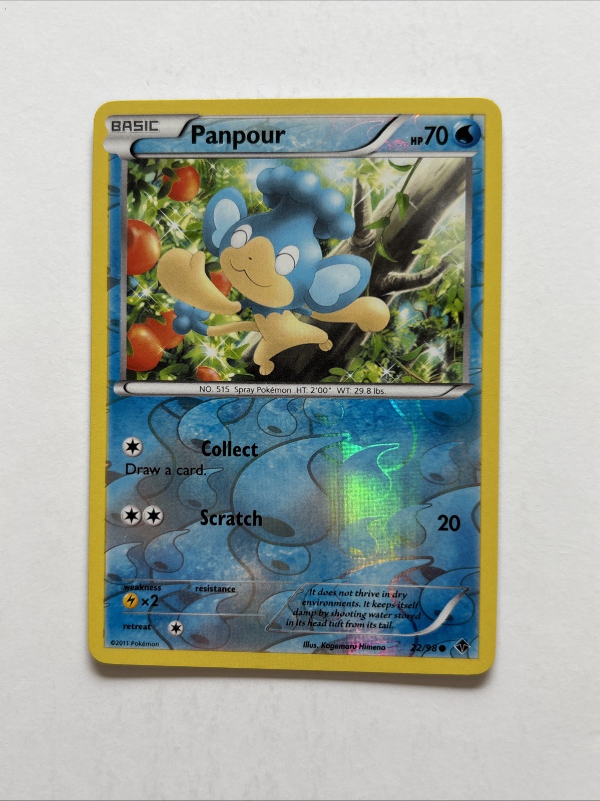 Panpour 22/98 Rev Reverse Holo BW Emerging Powers Pokemon NM