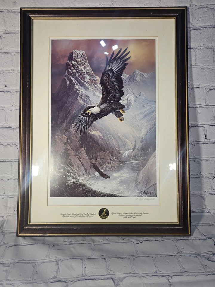 Ted Baylock - Save the Eagle, Proud and Free Signed & Numbered Foto 2 de 4