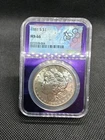 1881S Morgan Silver Dollar Toner NGC MS66 BEYOND STUNNING RAINBOW Toning US Coin