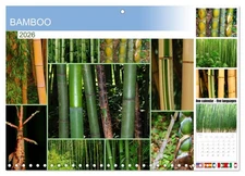BAMBOO (Monthly Wall Calendar 2026 11.7 x 16.5 (open)), CALVENDO 14 Month Calend