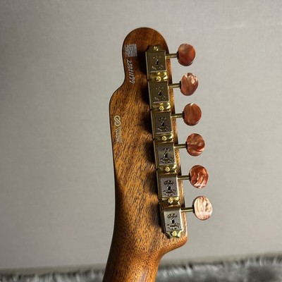 FREEDOM CUSTOM GUITAR RESEARCH O.S. TE Pepper Hollow - Vintage