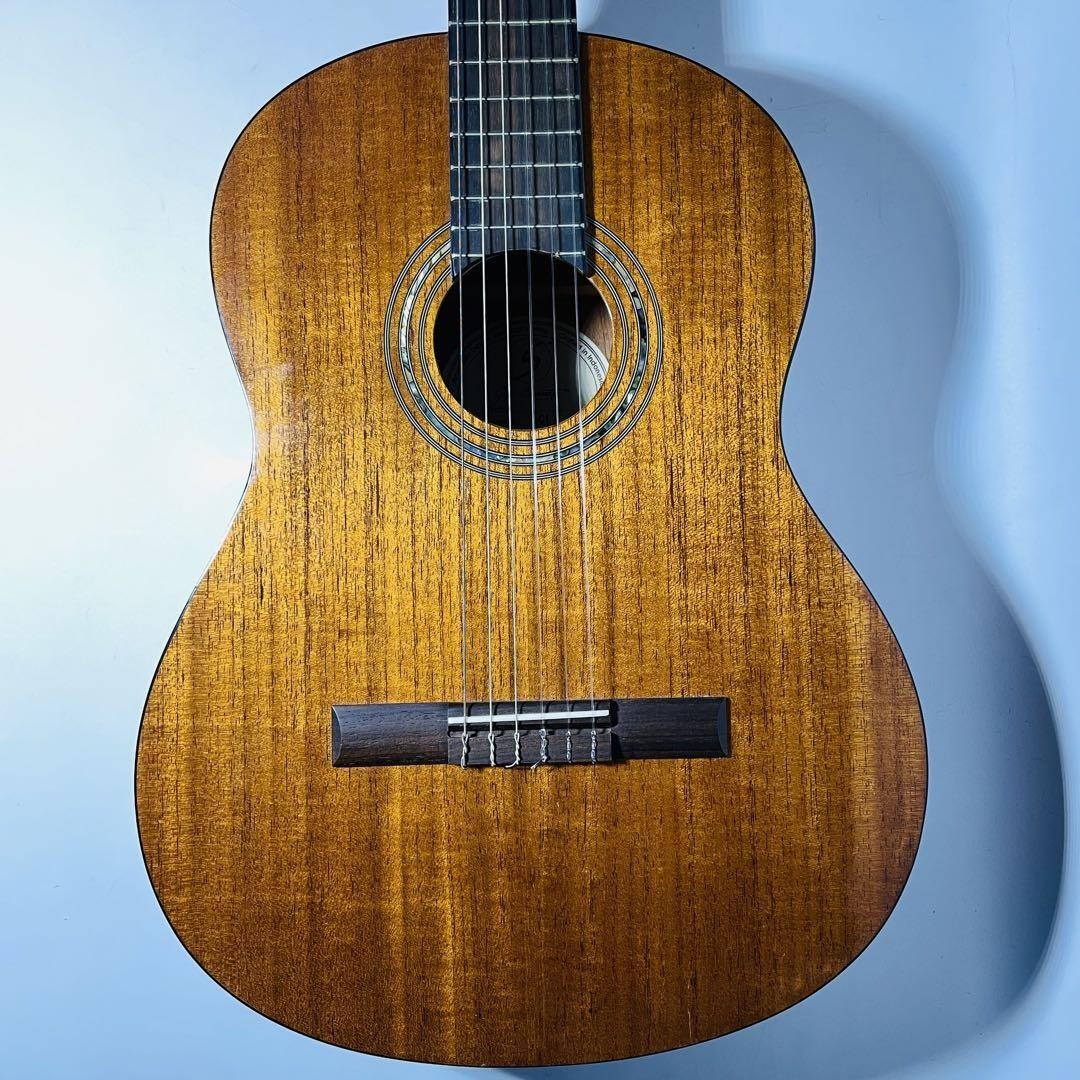 Samich C1 クラシックギター Classical Acoustic Guitar Greg Bennett by SAMICK Model C1