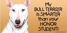 My Bull Terrier Smarter Than Your Honor Student Magnet 4x8 refrigerator car dog