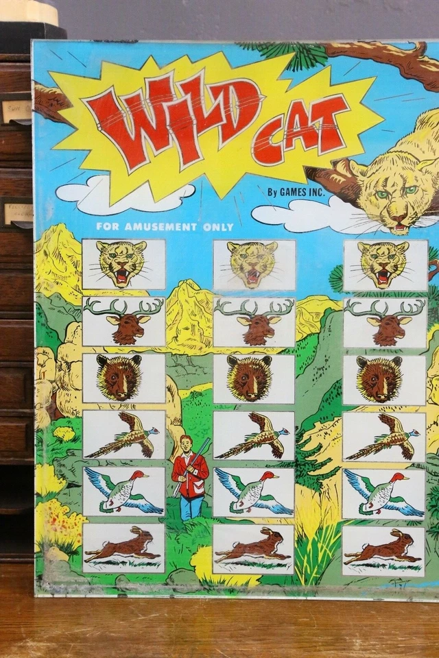 Letrero de inserción de vidrio de juego de pinball Wild Cat de colección moneda de la selva parte operativa antigua Foto 3 de 4