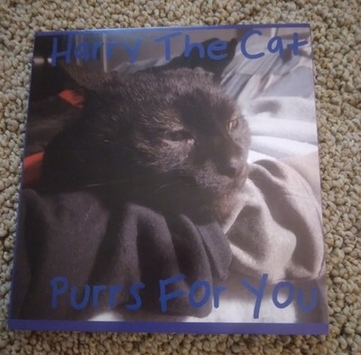 Harry The Cat Purrs For You cd cat sounds purring meowing grooming TPOS