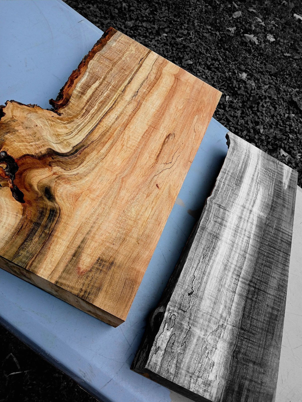 XXL MIND BLOWING Curly RED Maple Burl wood Slab EPOXY/STABILIZING/ Turning Wood