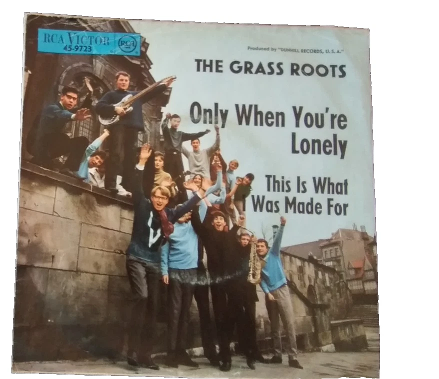 Si THE GRASS ROOTS - Only When You're Lonely - Bild 4 von 4