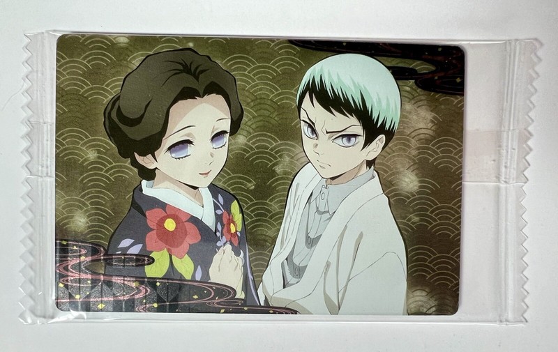 Demon Slayer KNY Anime Collectable Wafer Card New from Japan- Tamayo & Yushiro