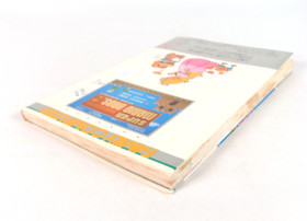 Guide Book SUPER MARIO BROS. 2 Nintendo Famicom Disk System FC NES Jap JAPAN (2)