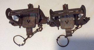 Two Victor #3 Coil Spring Traps