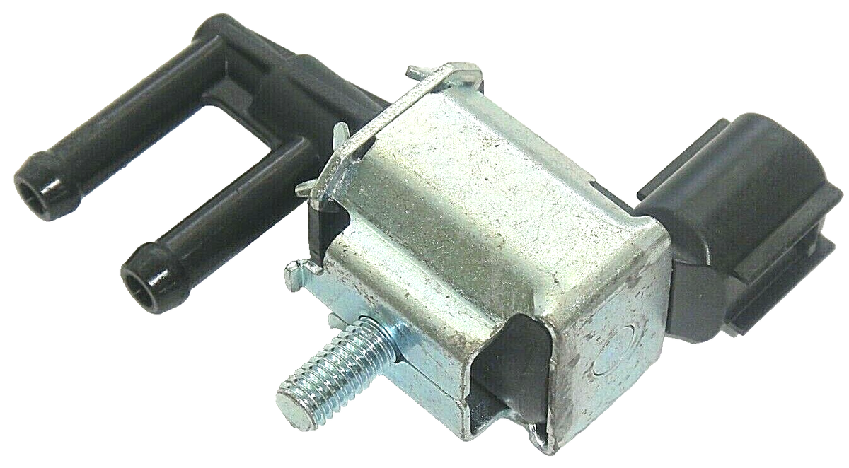 ごーどん 61RcIU3bmaL._AC_SY200_QL15_.jpg