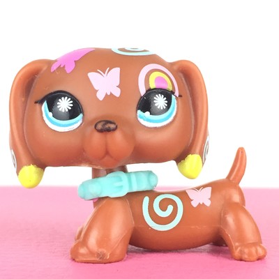 brian nuttall patterdale terriers for sale