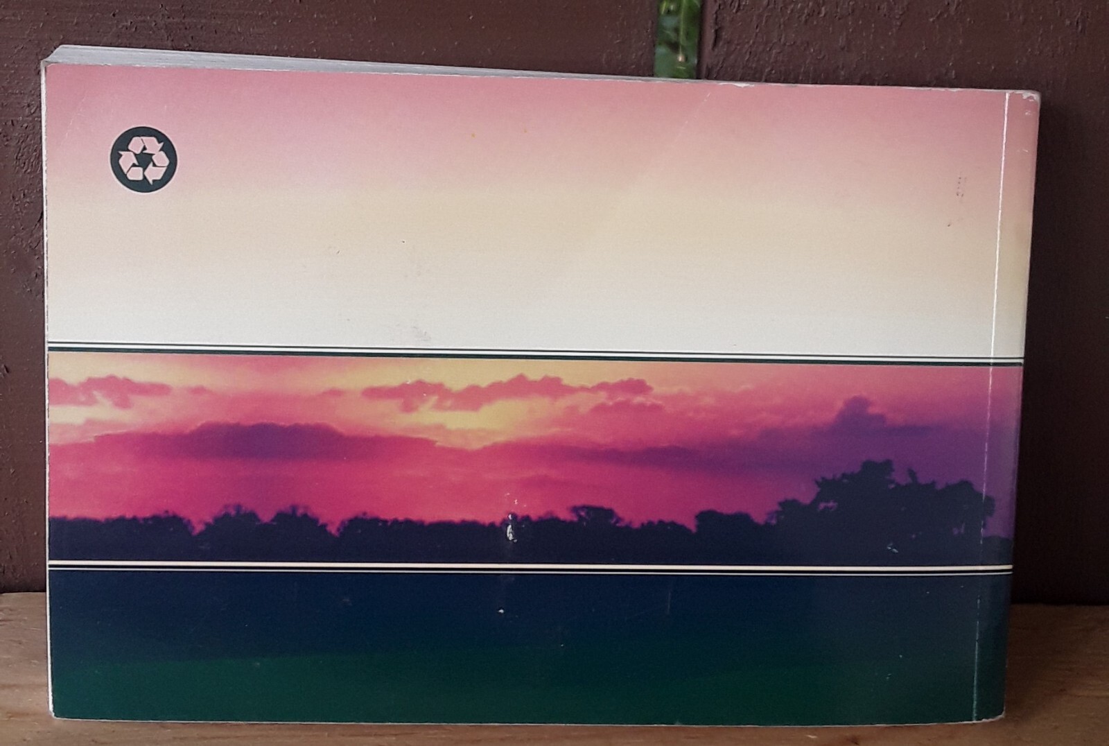 Picture 4 of 4