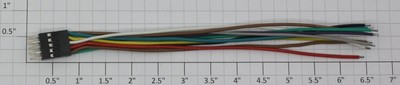 K-Line K2500-X016R1 10-Pin Molex Male Wiring Harness with 6'' Leads (50)