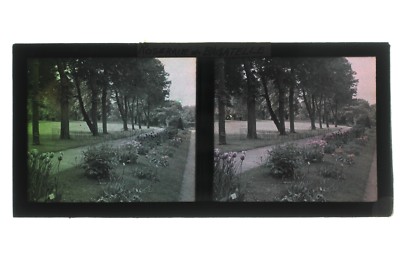 Rosengarten Von Bagatelle Frankreich Foto Autochrom Stereo C31 Vintage 1927