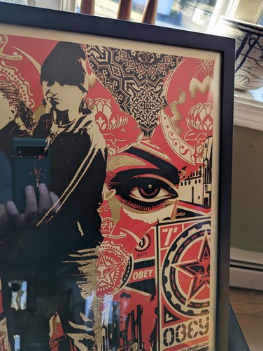 Stampa Shepard Fairey FIRMATA E NUMERATA RARA 2011 - Foto 6 di 6
