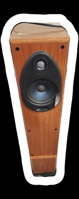 Polk Audio RTi100 Powered Floor Standing Speaker