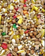 Higgins DOVE VITA clean vitamin and mineral fortified seed mix for doves 25 lb