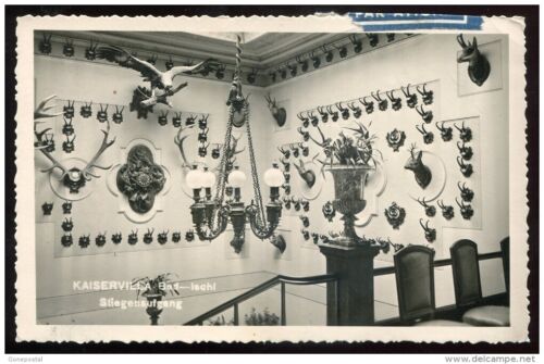AUTRICHE Bad Ischl 1960 villa impériale. Carte postale photo réelle trophées de chasse bois trophées - Photo 1/2