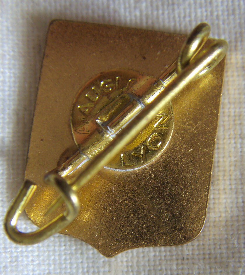 BG7440 - INSIGNE BADGE BLASON PONT L'ABBE