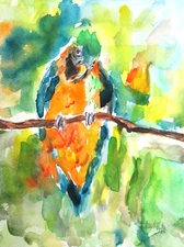 Colorful Parrot by Delilah tropical landscape impressionist 12x9  watercolor