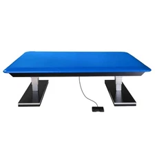Hausmann Dual Lift Powermatic Bariatric Electric Hi-Lo Mat Platform Table