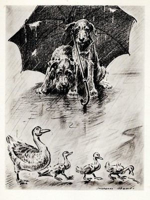 Airedale Terrier ''Ducks'' - 1946 CUSTOM MATTED - Antique Dog Art Print  M. Dennis